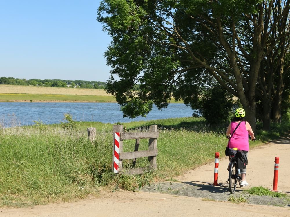 Fietsen langs de Maas