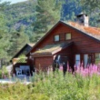 Afbeelding voor Color Line - Vakantiehuizen Sirdal