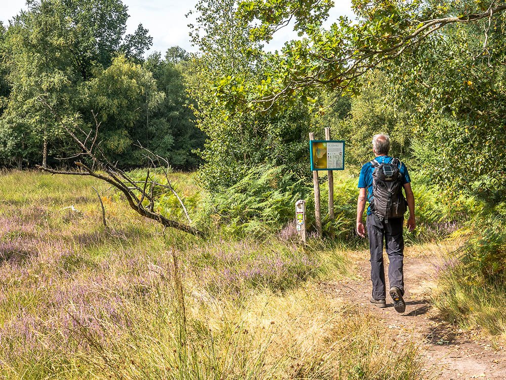 Maldegemveld