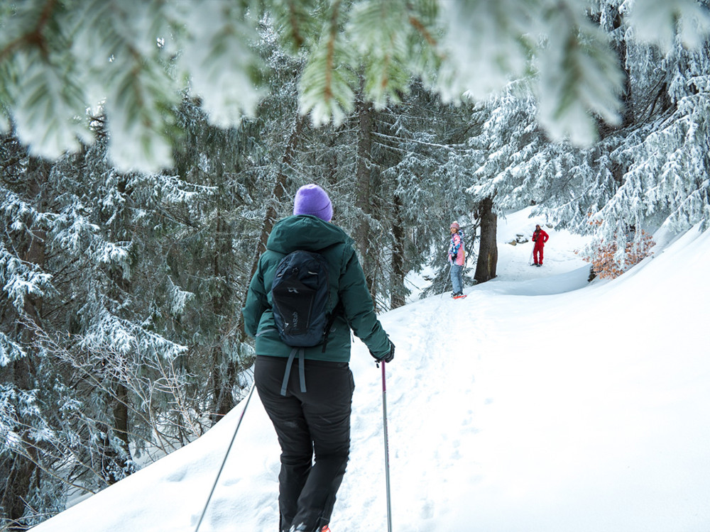 Wandelen in de sneeuw