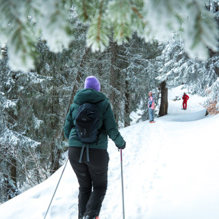 Afbeelding voor Winter in Avoriaz