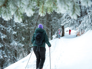 Afbeelding voor Winter in Avoriaz