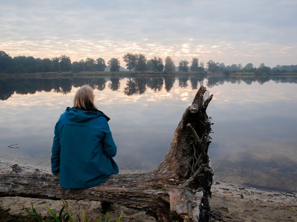 Natuur Van Gogh NP