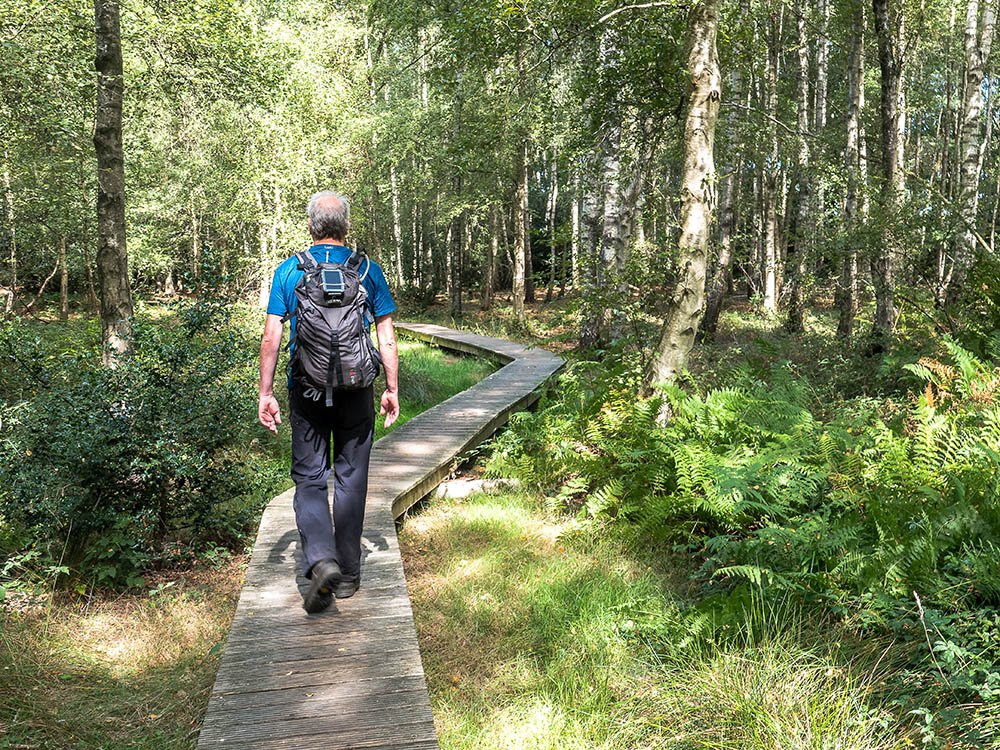 Meetjesland - Maldegemveld