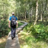 Afbeelding voor Meetjesland