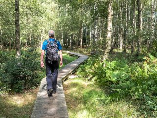 Afbeelding voor Meetjesland