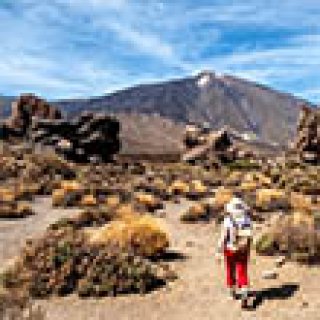 Afbeelding voor Intrepid Travel - Wandelreis Tenerife