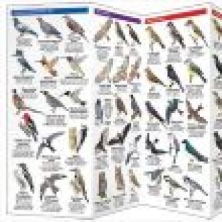 Afbeelding voor Win 2 gratis natuurgidsjes