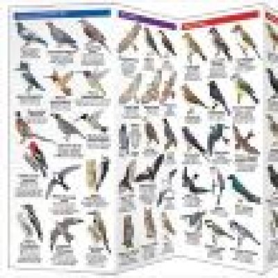 Afbeelding voor Win 2 gratis natuurgidsjes