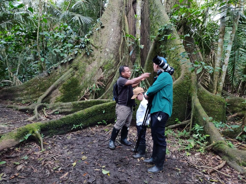 Jungle trek