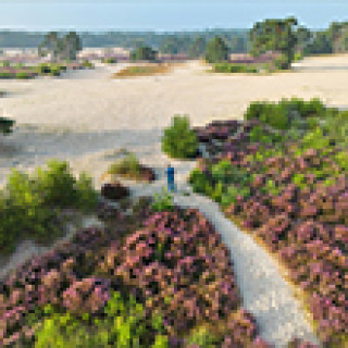 Afbeelding voor TIP - Naturescanner heide trip