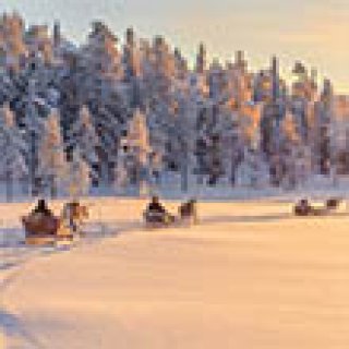 Afbeelding voor Voigt Travel - Lapland in maart