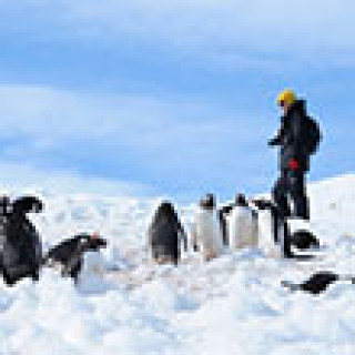 Afbeelding voor All for Nature - Antarctica & South Georgia