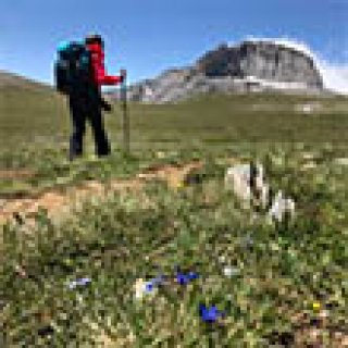 Afbeelding voor Bookatrekking - Meerdaagse trails