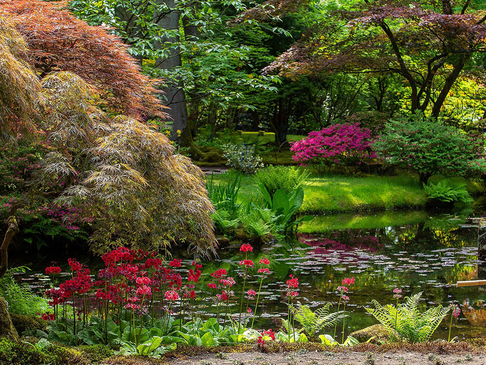 Japanse tuin in Landgoed Clingendael