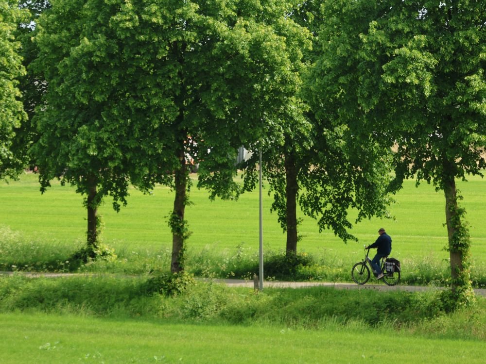 Fietsroute