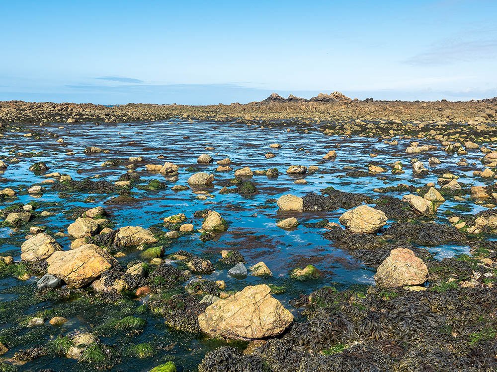 Lihou Island