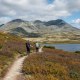 Afbeelding voor Wandelen in Rondane