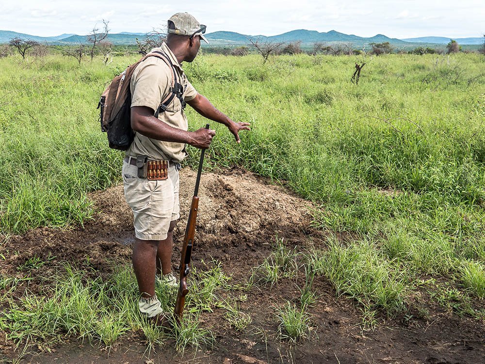 Ervaren en bewapende gids