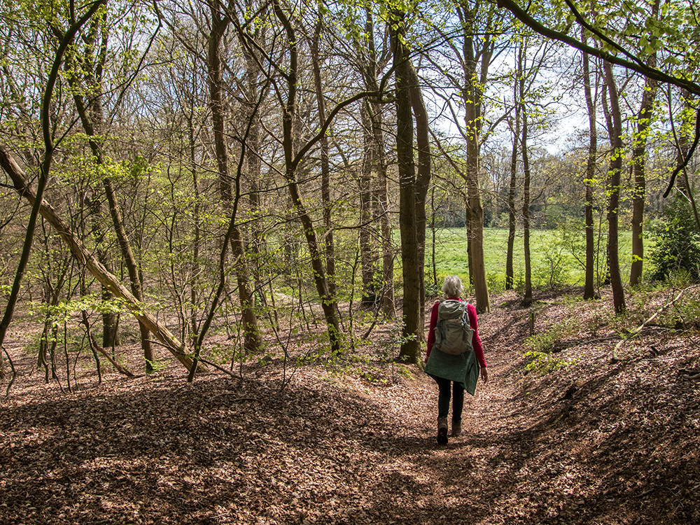 Wandelen in Overijssel