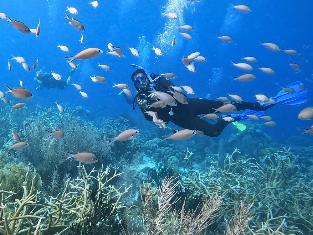 Duiken bij Bonaire