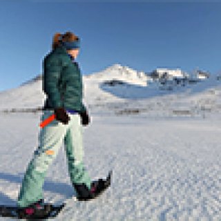 Afbeelding voor Pharos Reizen - Wintervakantie Tromsø