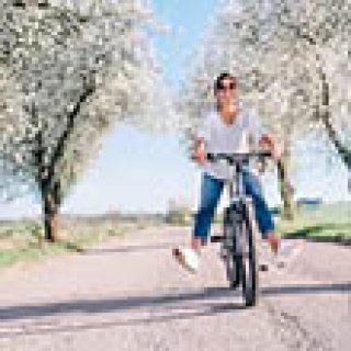 Afbeelding voor Voordeeluitjes - Lentespecials