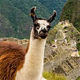 Afbeelding voor PANGEA Travel - Peru