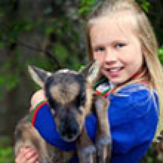 Afbeelding voor Riksja Travel - Sami cultuur in Idre