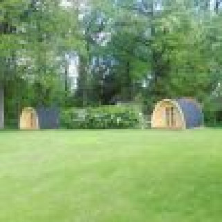 Afbeelding voor Natuurhuisje - Glamping pod