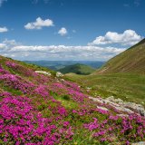 Afbeelding voor wAARDEvol reizen in Roemenië
