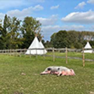 Afbeelding voor Booking.com - Tipi op de boerderij