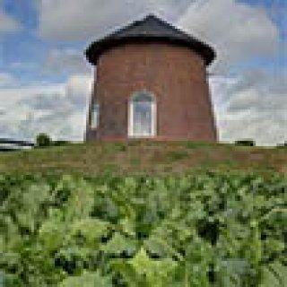 Afbeelding voor Torentje van Trips