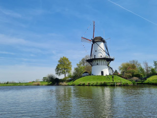 Afbeelding voor De Betuwe