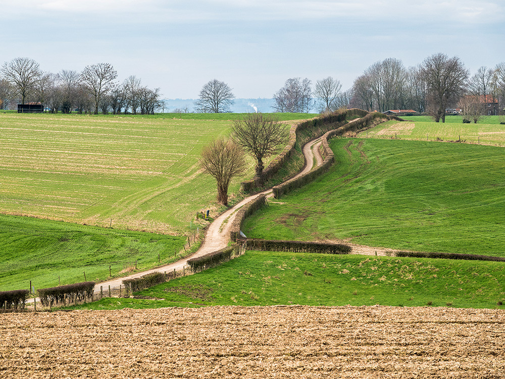 Glooiende wandelpaden