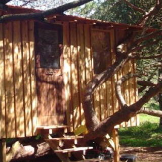 Afbeelding voor Natuurhuisje - Cabin bij de kust