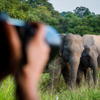 Afbeelding voor PANGEA Travel - Sri Lanka reizen