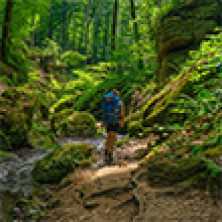 Afbeelding voor Avontuur Dichtbij - Mullerthal Trail