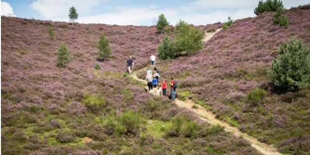 Afbeelding voor Bookatrekking - Wandelvakanties Nederland