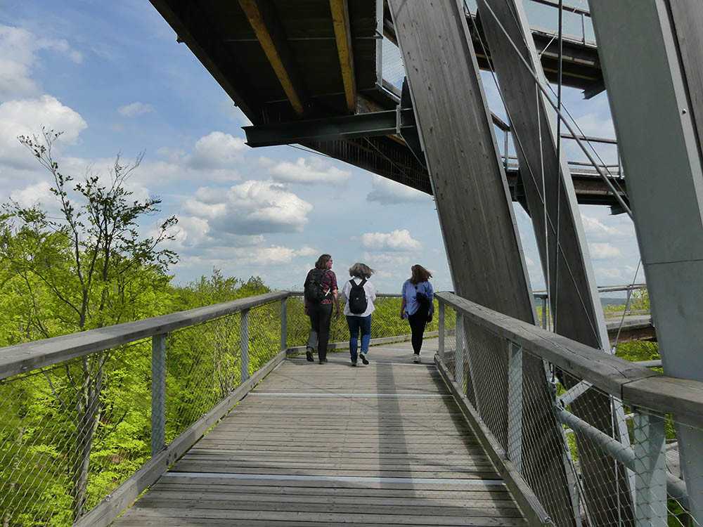 Baumwipfelpfad Steigerwald