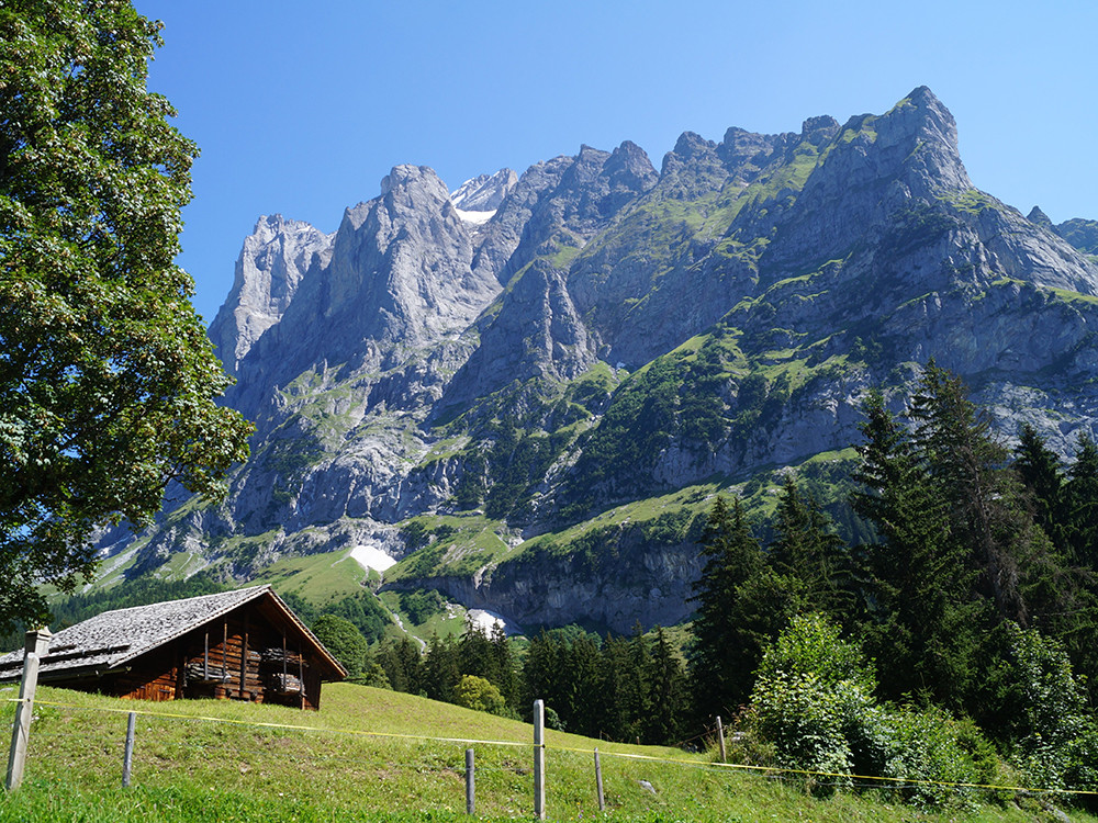 Jungfrauregio natuur