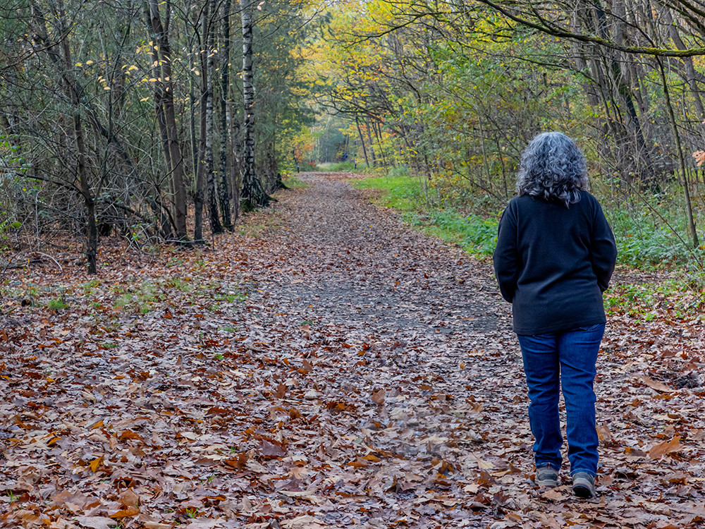 Wandelen Midden-Limburg