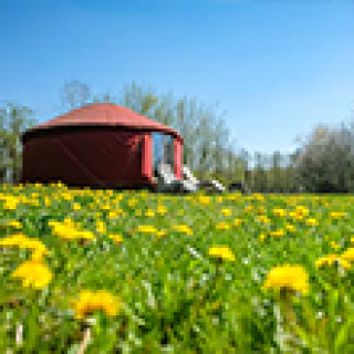 Afbeelding voor Natuurhuisje - Slaap in een yurt