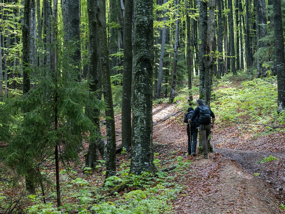 Wandelen in Roemenië