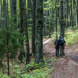 Afbeelding voor Wandelen in Roemenie