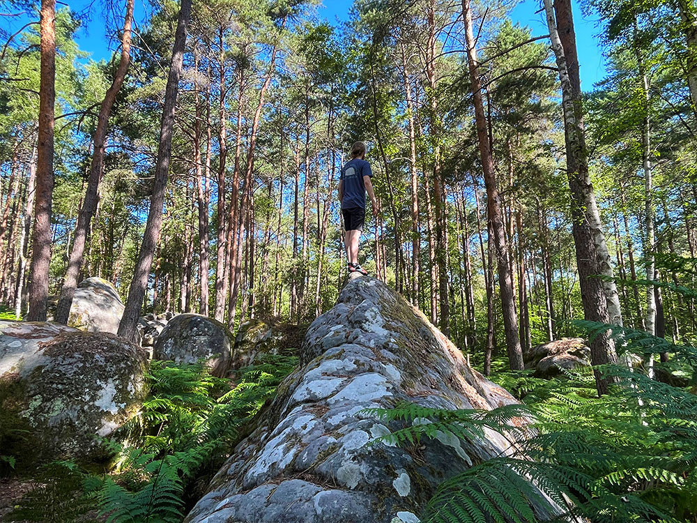 Actief bij Fontainebleau