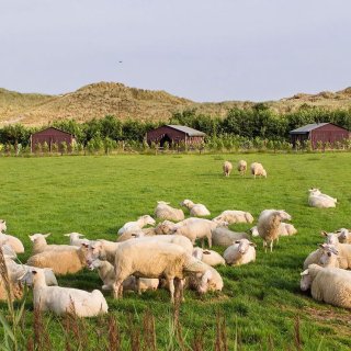 Afbeelding voor Bijzonder overnachten op de Waddeneilanden