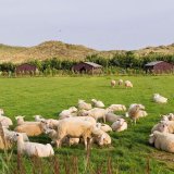 Afbeelding voor Bijzonder overnachten op de Waddeneilanden