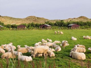 Afbeelding voor Bijzonder overnachten op de Waddeneilanden