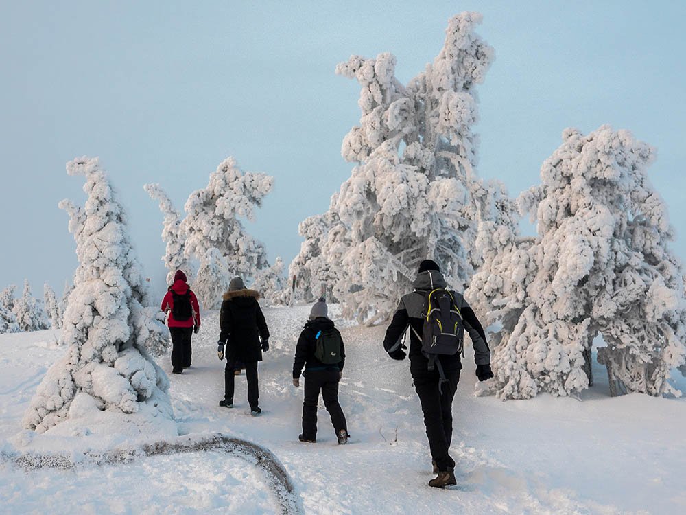 Wandelen langs popcorntrees